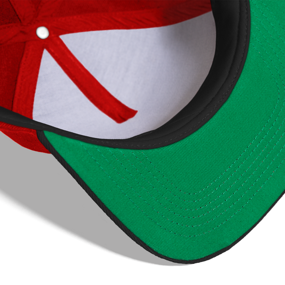 Snapback Cap NO PICTURE PLEASE - Rot/Schwarz